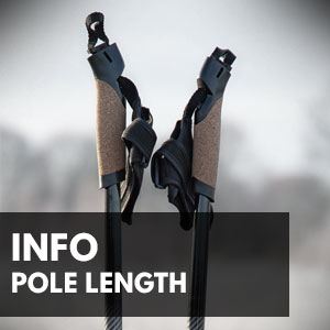 Pole length for Nordic Skating at der-rollenshop.live