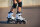 Powerslide Inline Skate Swell Stellar Jr. 100