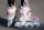Powerslide Inlineskate Phuzion Argon Rose 80
