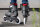 Powerslide Inline Skates Next Charcoal 110