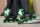 Powerslide Youth Skates Phuzion Universe 4W (green)