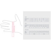 Leki Nordic Breeze Shark Short Nordic Skating Gloves